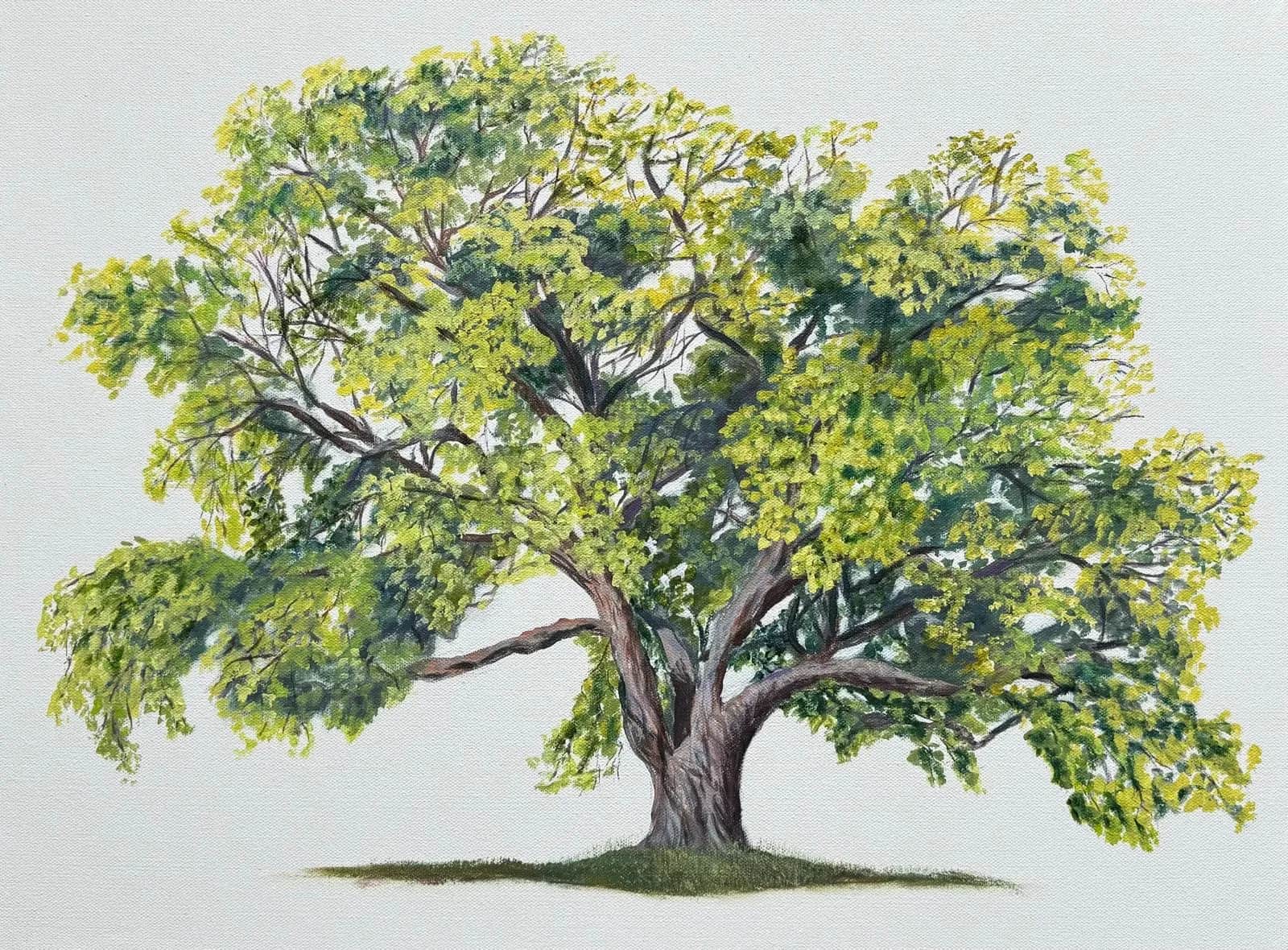 Full Tree