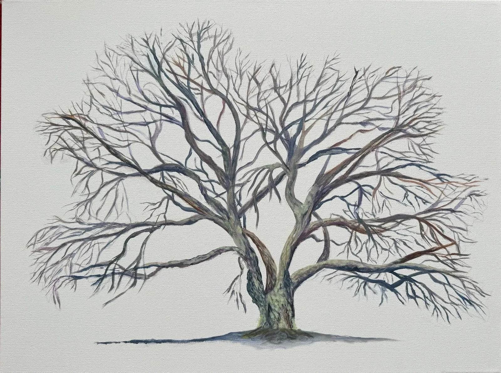 Winter Tree