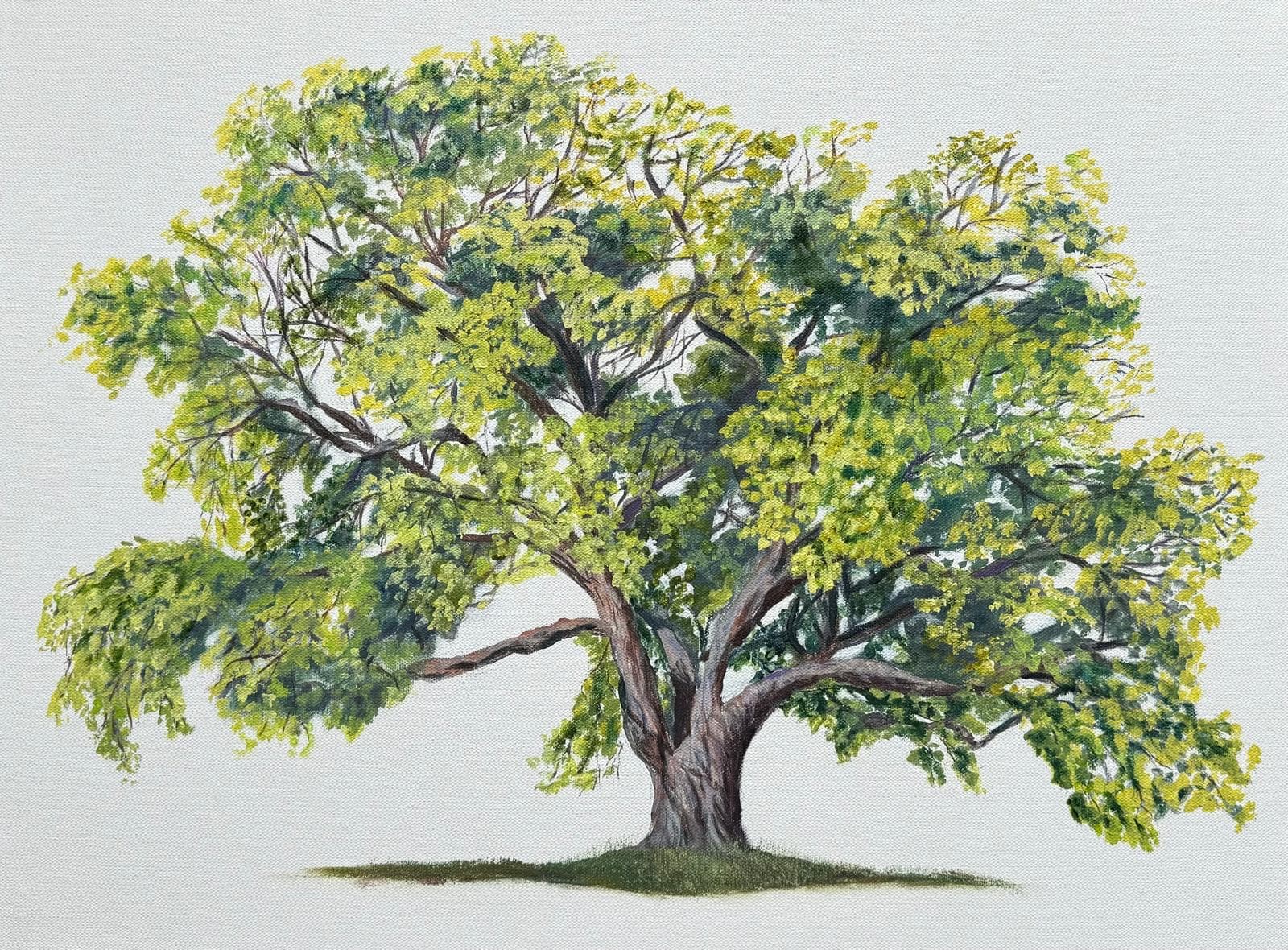 Full Tree
