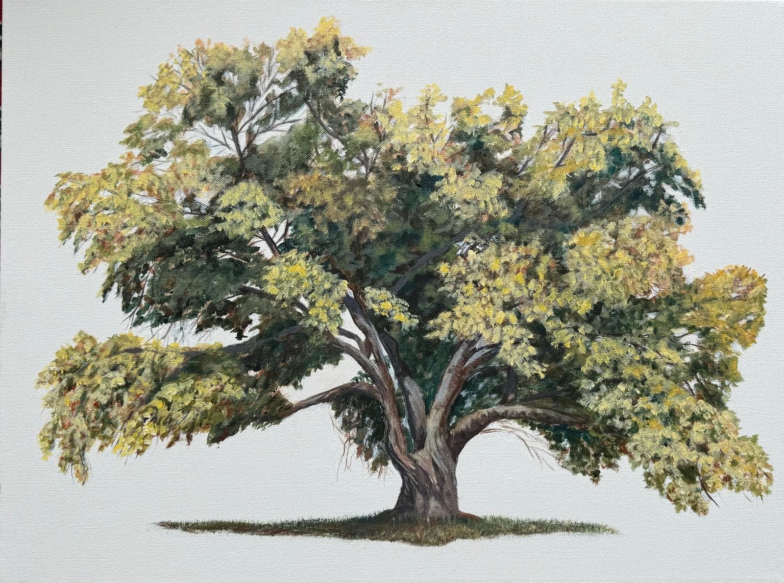 Full Tree II