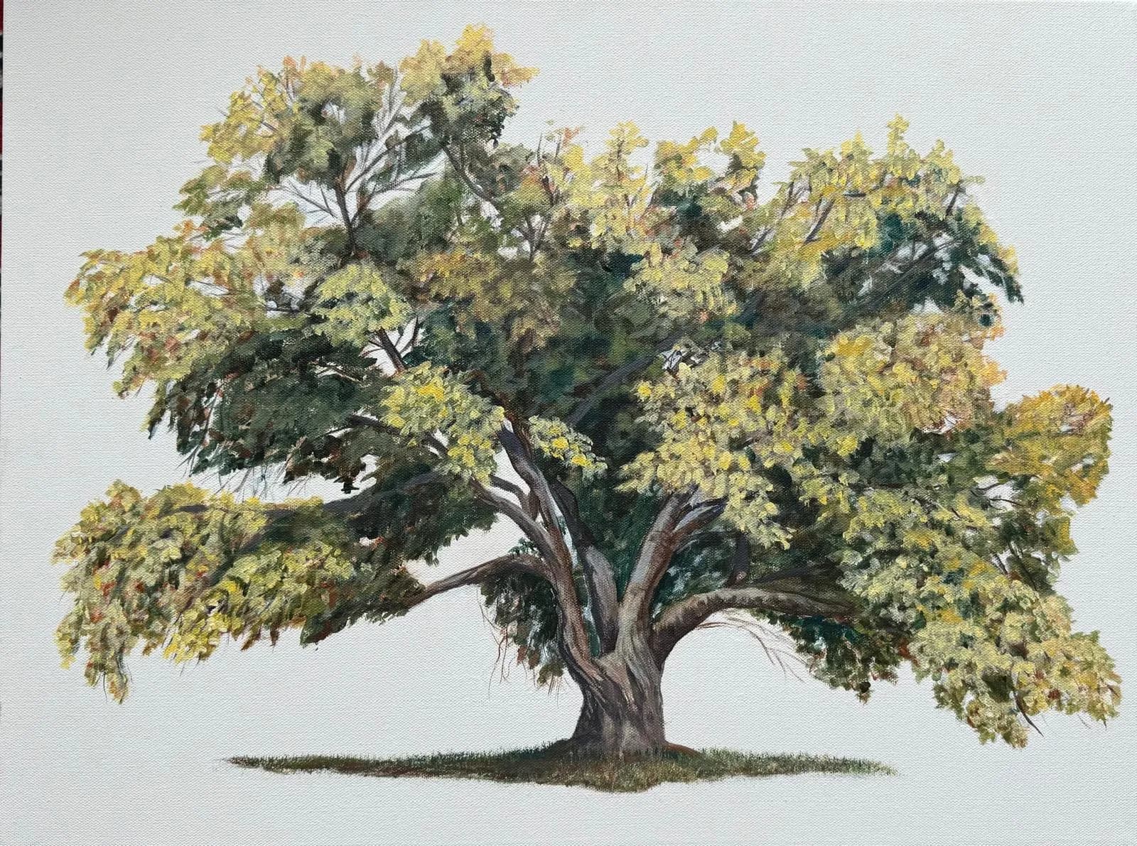 Full Tree II