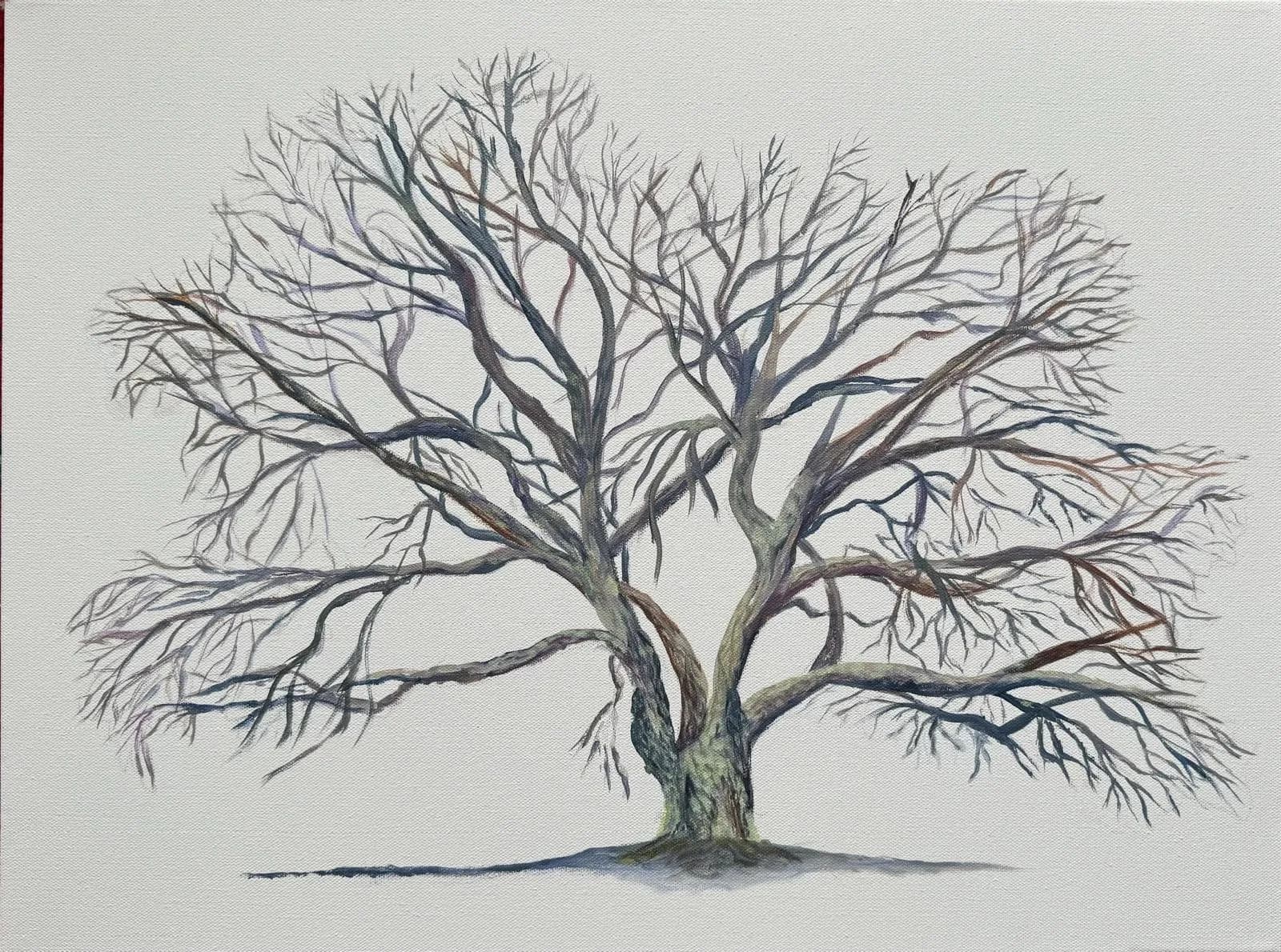 Four Seasons IV